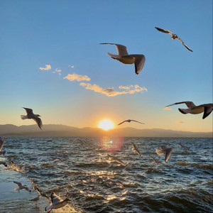 我想你㖭我的BB
